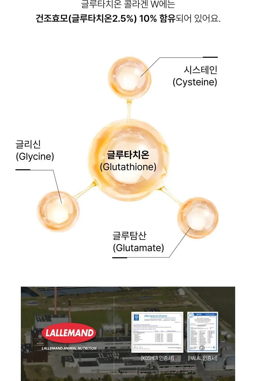[차주영 PICK]비비랩 글루타치온 콜라겐 W 30포 (30일분) 상세페이지 14